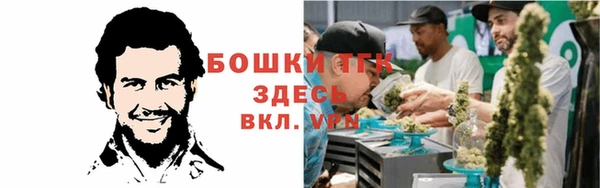 амф Кизел