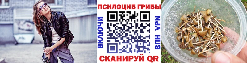 Галлюциногенные грибы мицелий  Нижняя Тура 